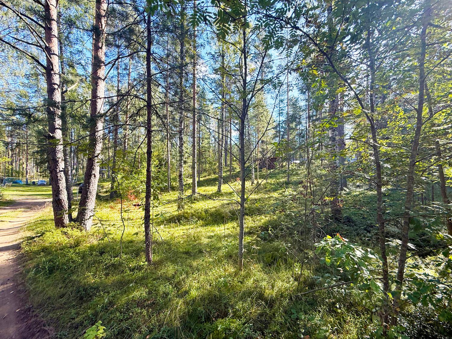 д. Васкелово. ИЖС участок 15 соток