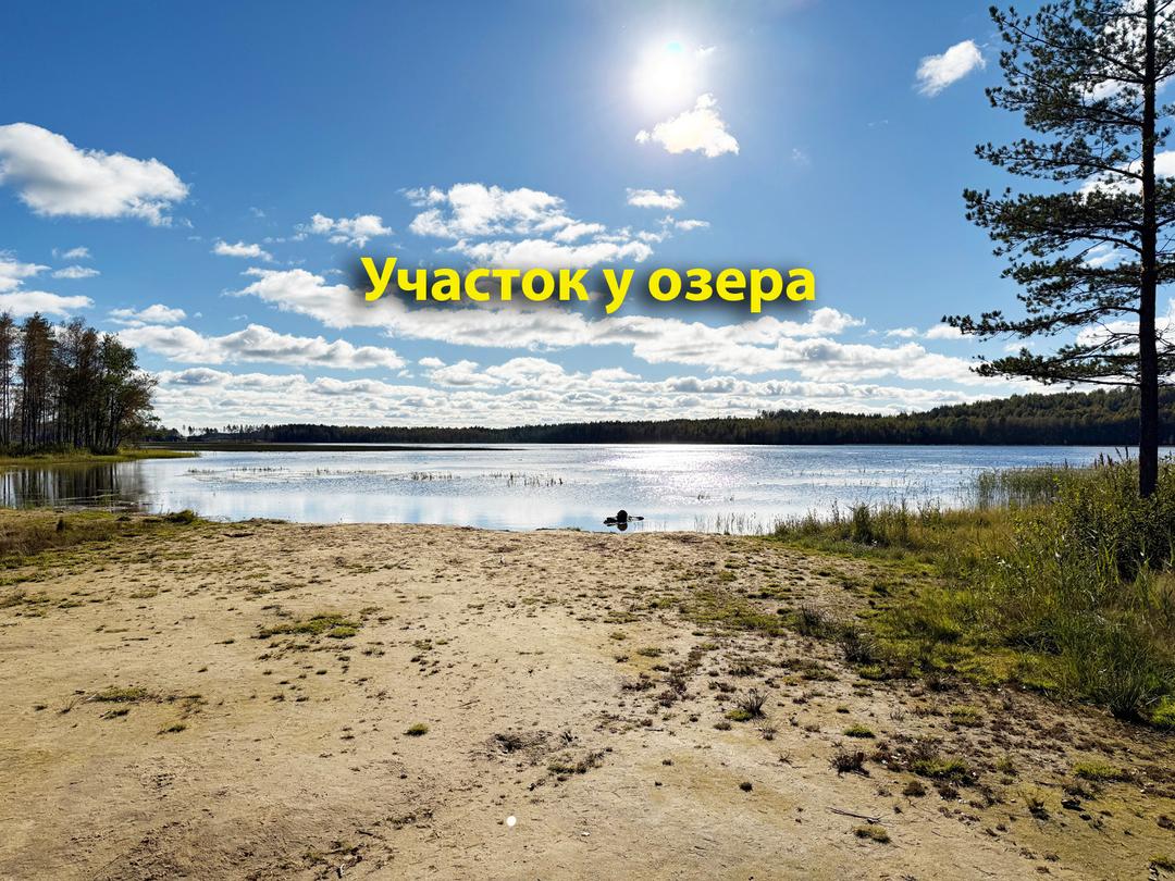 Токсово, КП «Экофорест». Участок 7,5 соток