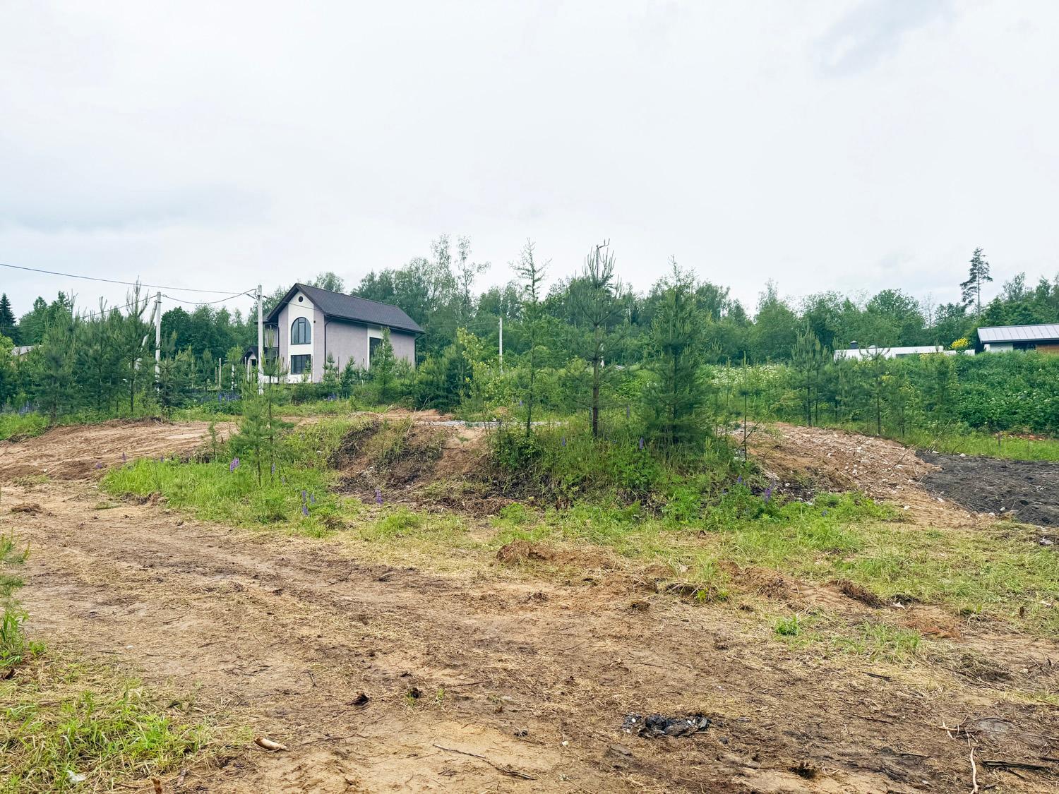 Грузино. Участок 7 соток