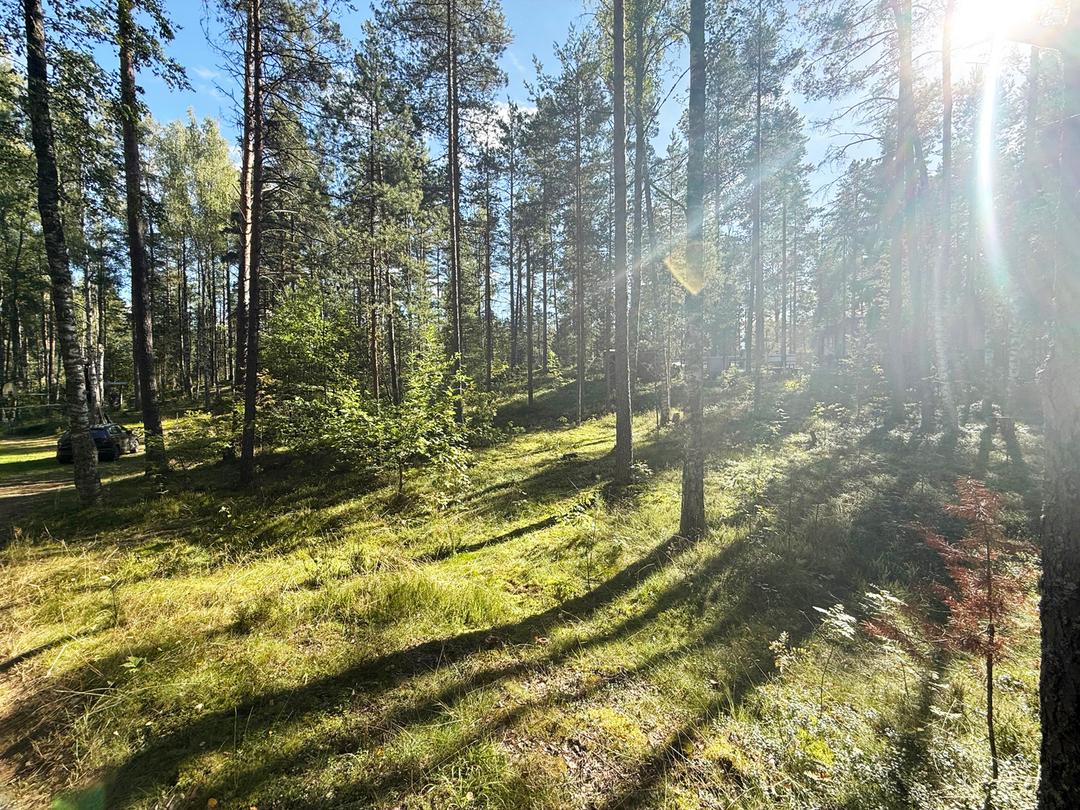 д. Васкелово. ИЖС участок 15 соток