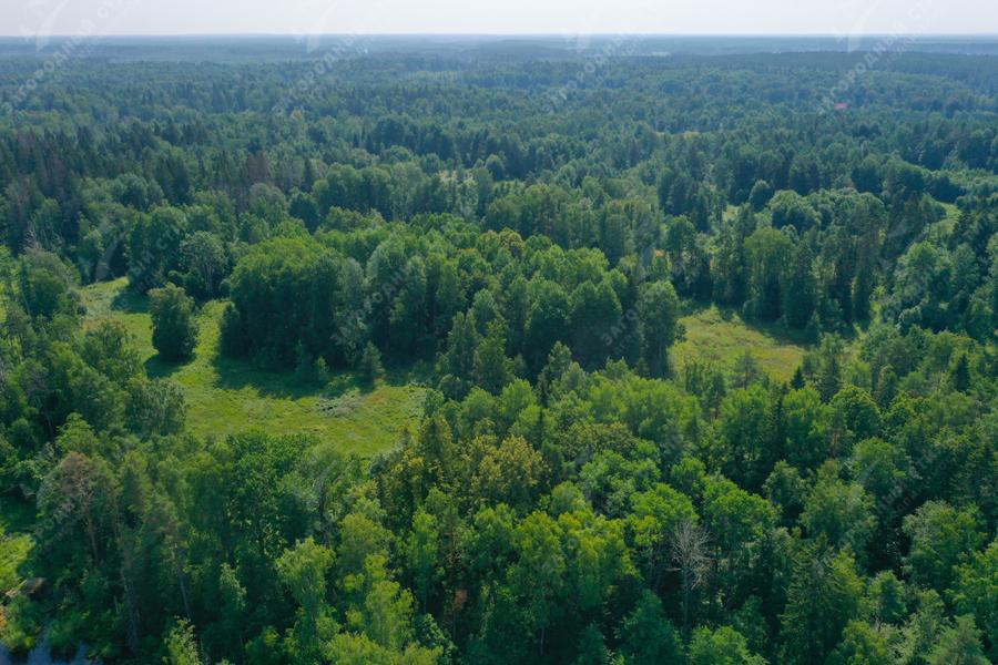 пос. Мельниково. Участок 8 га под дачное строительство