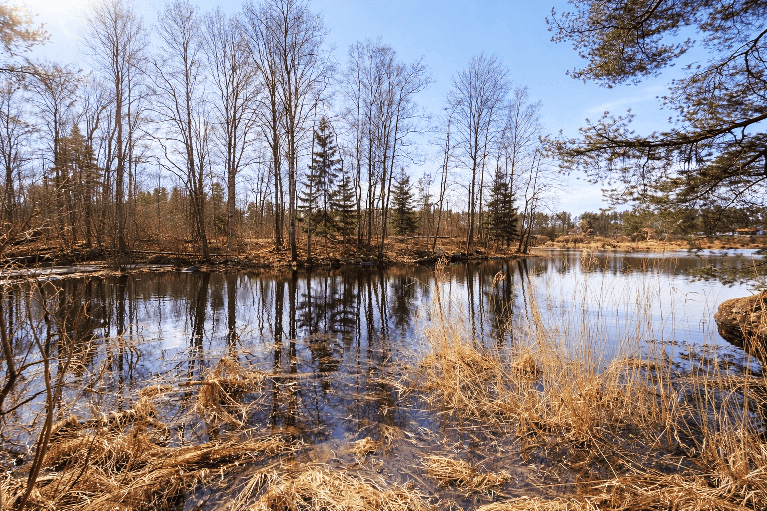 пос. Мельниково. ИЖС участок 25 соток