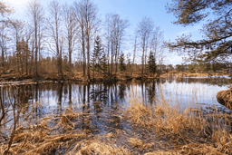 9ff381e4-4243-4df0-991c-dde45dda7ee6