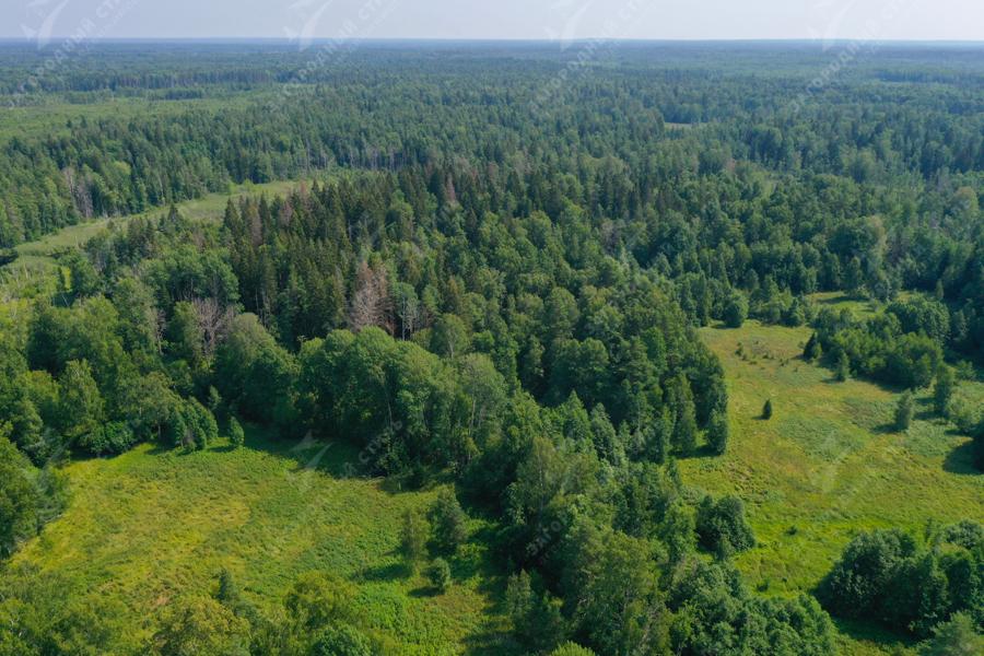 пос. Мельниково. Участок 8 га под дачное строительство