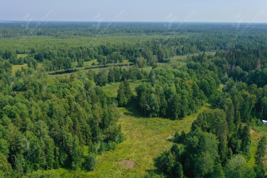 пос. Мельниково. Участок 8 га под дачное строительство