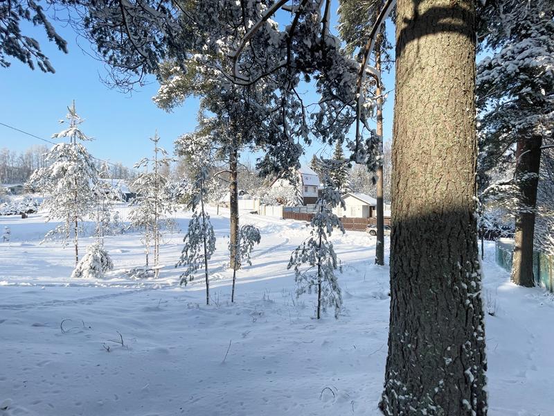 Гарболово. Дом 58 кв.м на участке 12 соток