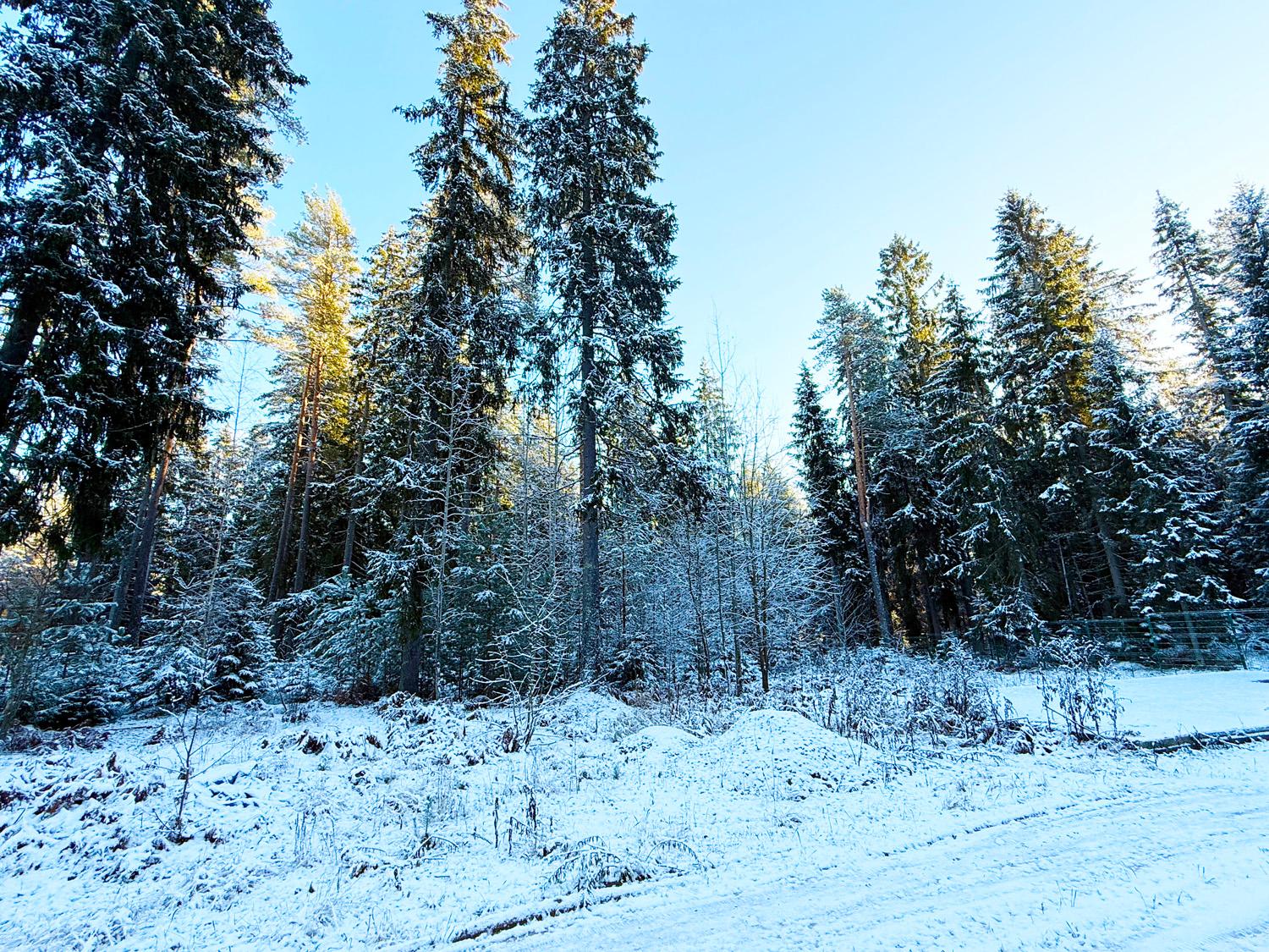 пос. Ленинское, КП «Видовое». Участок 42 сотки