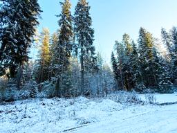 9b6bbac2-d2b0-4cdd-ad2f-7f86d346a9d4