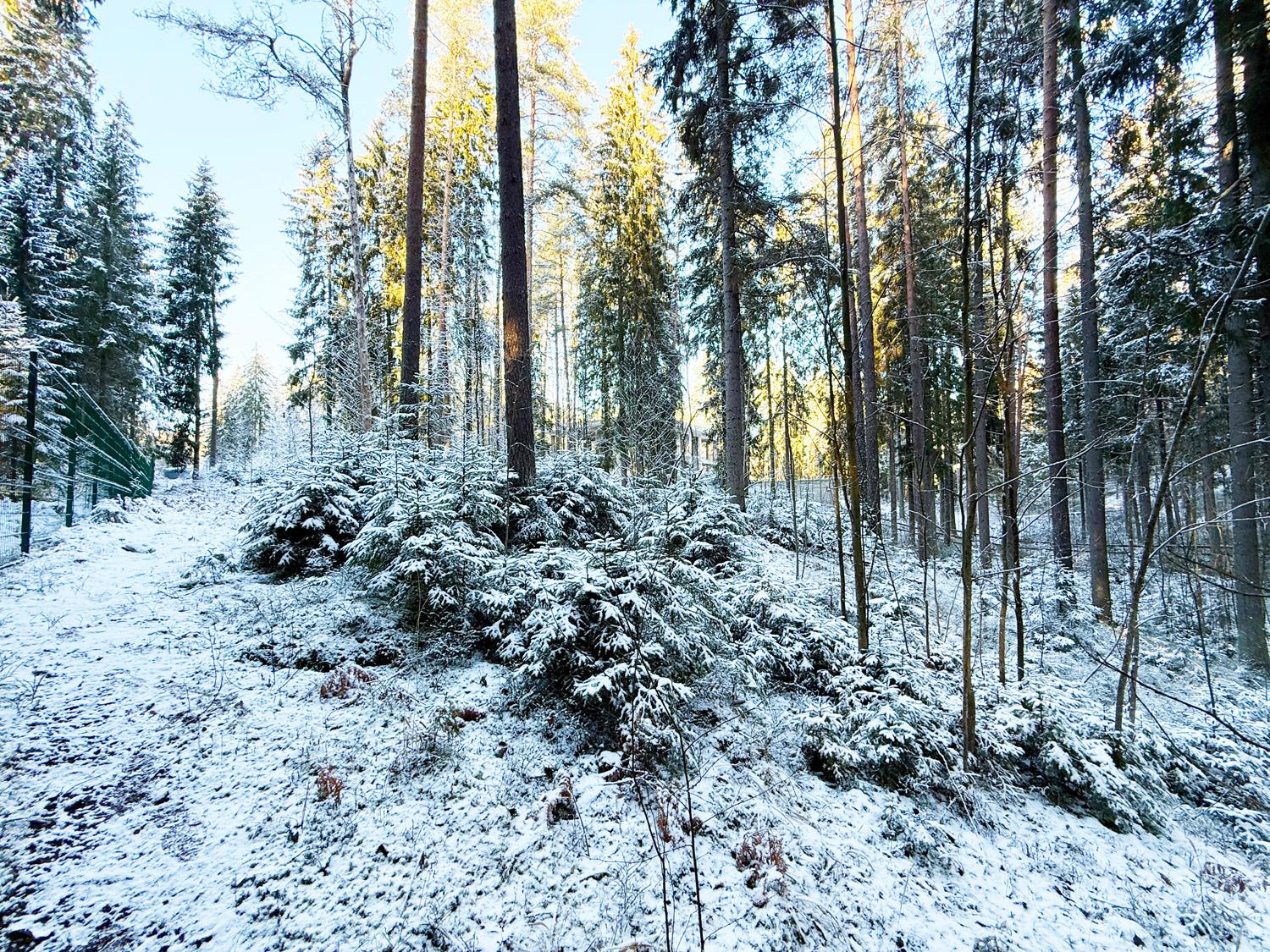 пос. Ленинское, КП «Видовое». Участок 42 сотки