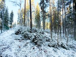 675198b2-7817-4d03-a022-ea637681fab2