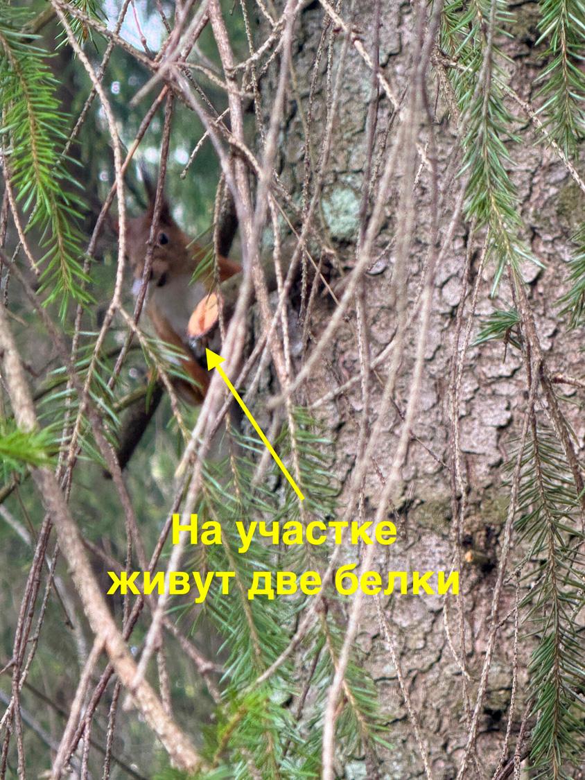 дер. Вартемяги. ИЖС участок 8,2 сотки