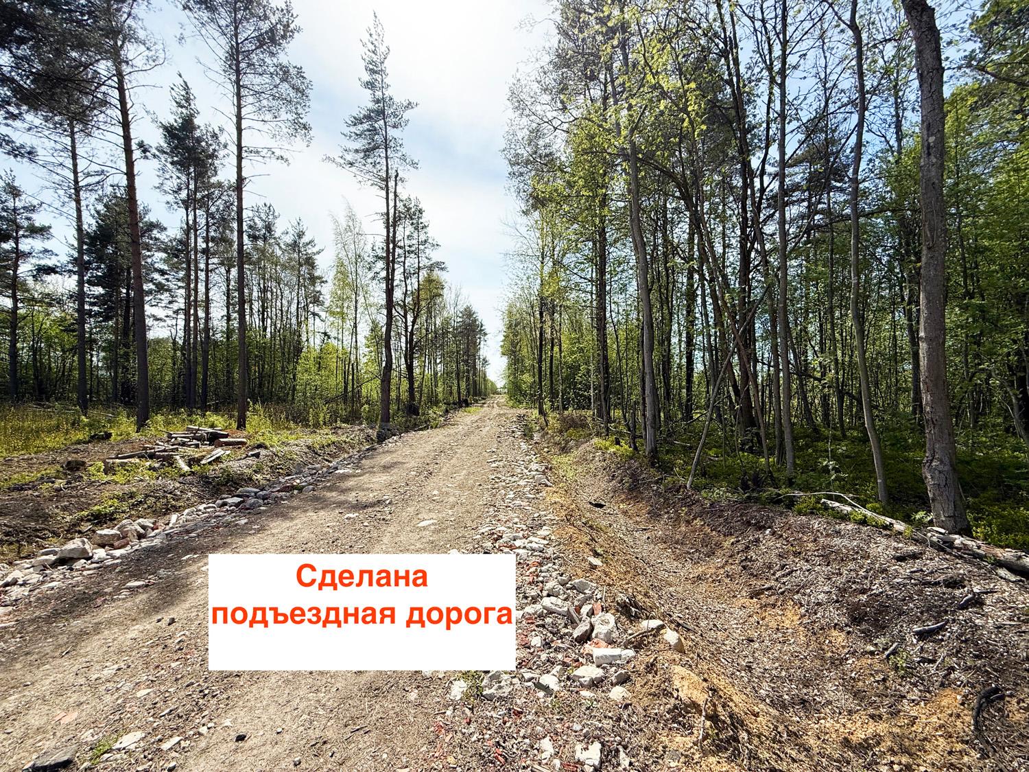 Токсово, ИЖС. Участок 15 соток