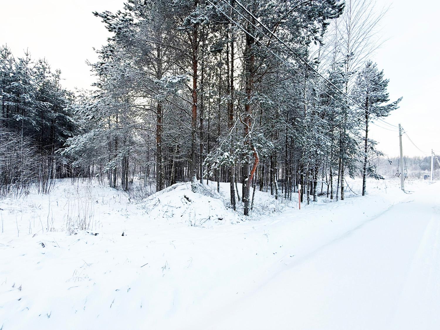 д. Сярьги. Участок 15,2 сотки вблизи курорта «Охта-Парк»