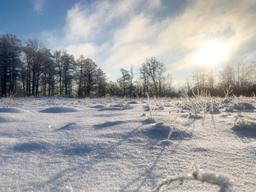 183548e0-1288-4cea-9f21-f0a862ad47e2