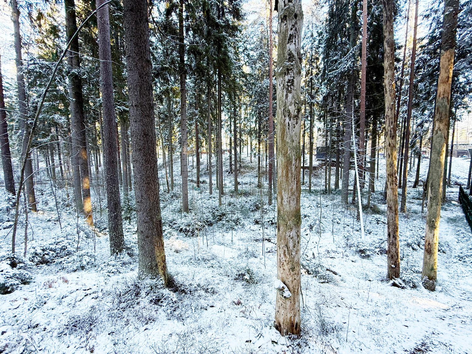 пос. Ленинское, КП «Видовое». Участок 42 сотки