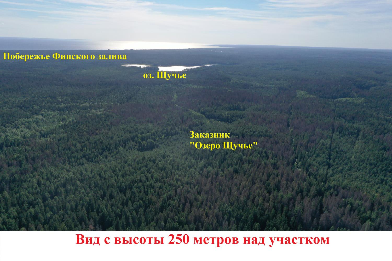 пос. Ленинское, КП «Видовое». Участок 42 сотки
