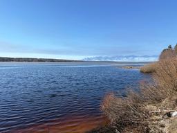 42d6cfcf-becc-4073-a635-a51bbbafca6c