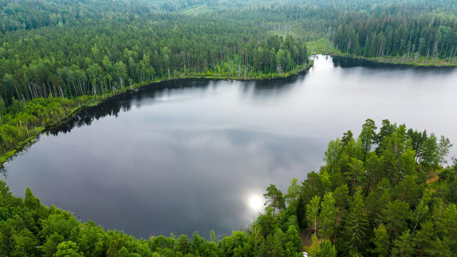 Грузино. Участок 6 соток