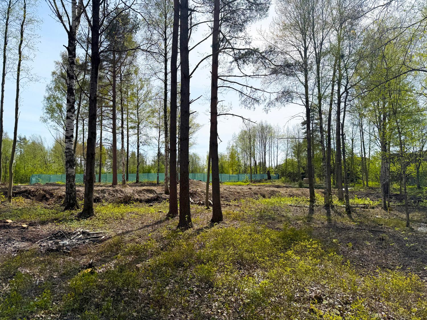 Токсово, ИЖС. Участок 12,3 сотки
