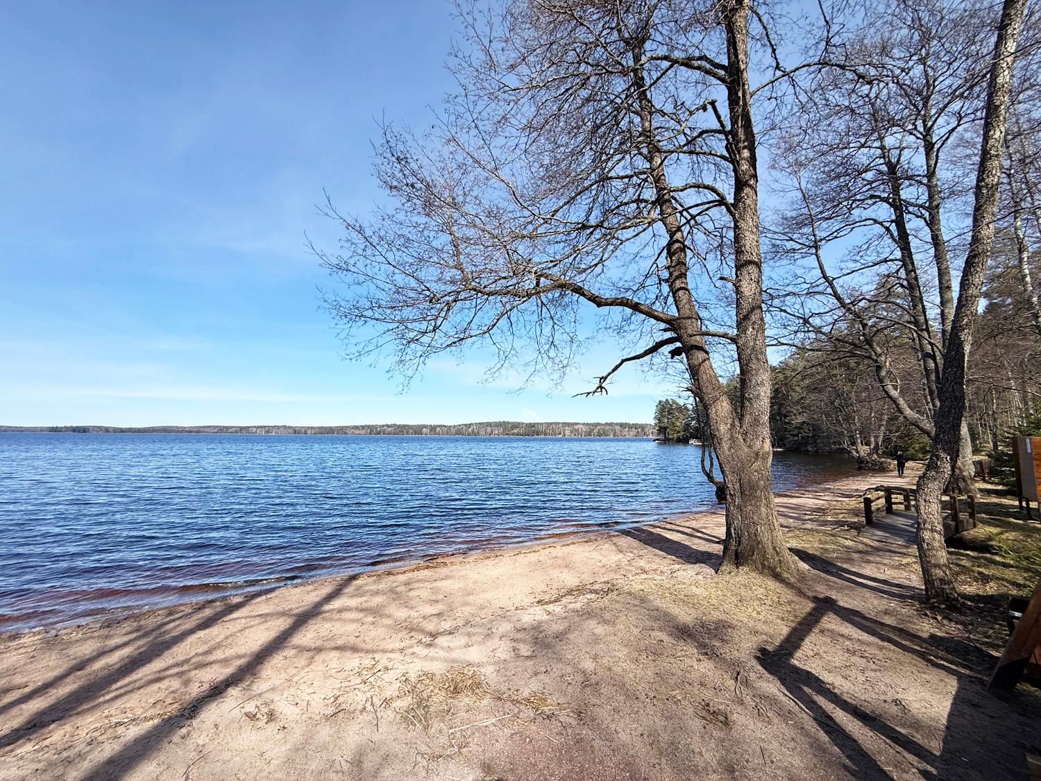пос. Малышево. Участок 10 соток на берегу Пионерского оз.