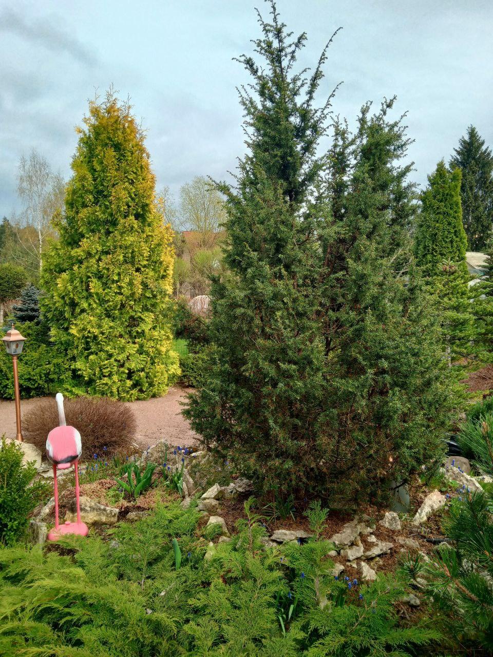 г. Всеволожск, ИЖС. Таун-хаус 165 кв.м на участке 6 соток