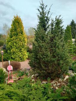 636d2755-505a-4c7b-b1c5-3f995c11b5c8