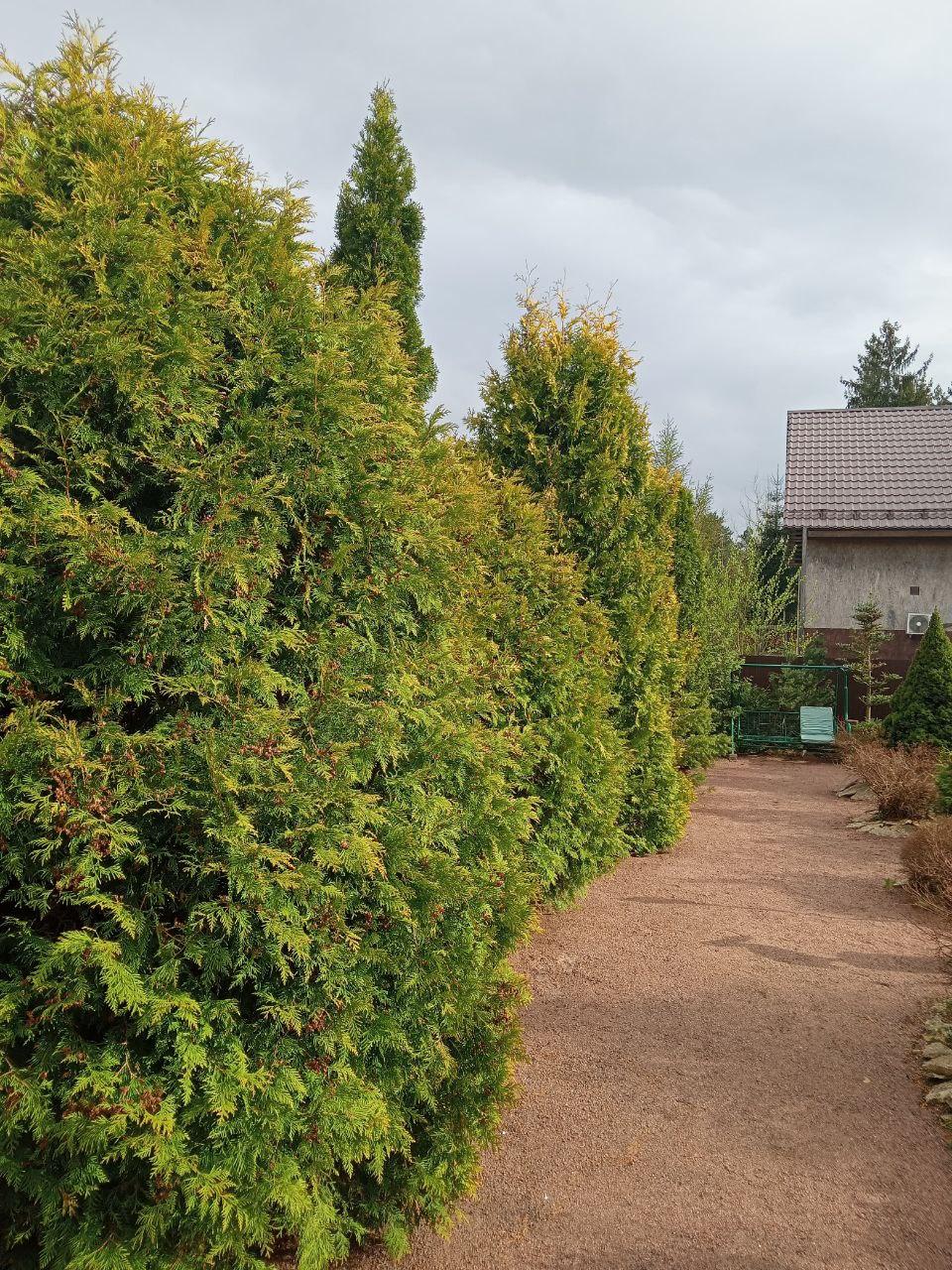 г. Всеволожск, ИЖС. Таун-хаус 165 кв.м на участке 6 соток