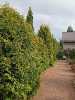 3aad0935-3fcc-41a8-875c-4eea4920cbcd