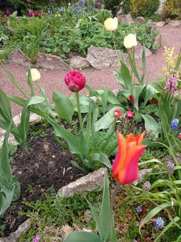 266cc812-8ad8-44d8-bbaa-49b89fc3243b