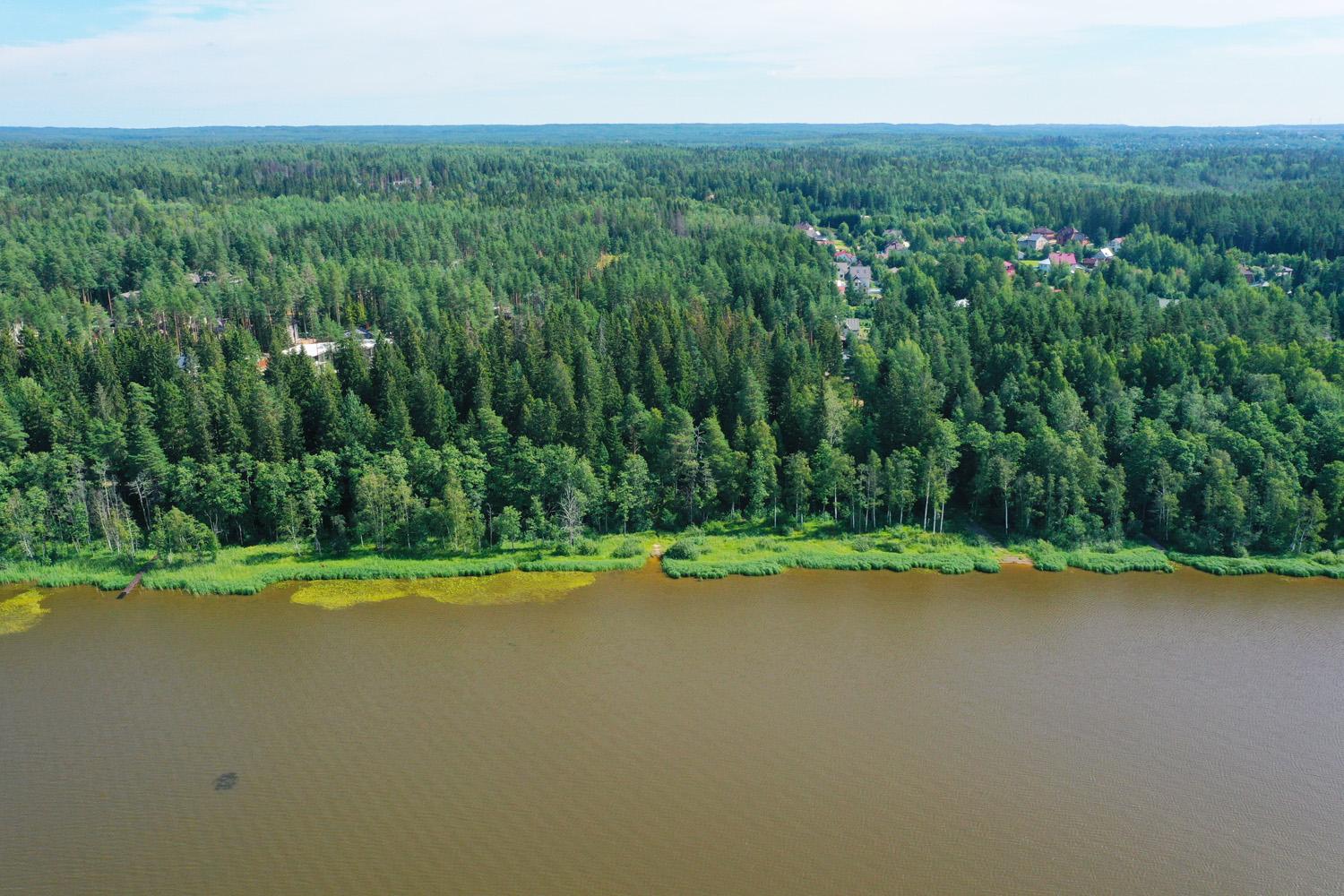 Грузино, берег Лемболовского оз. Участок 38 соток
