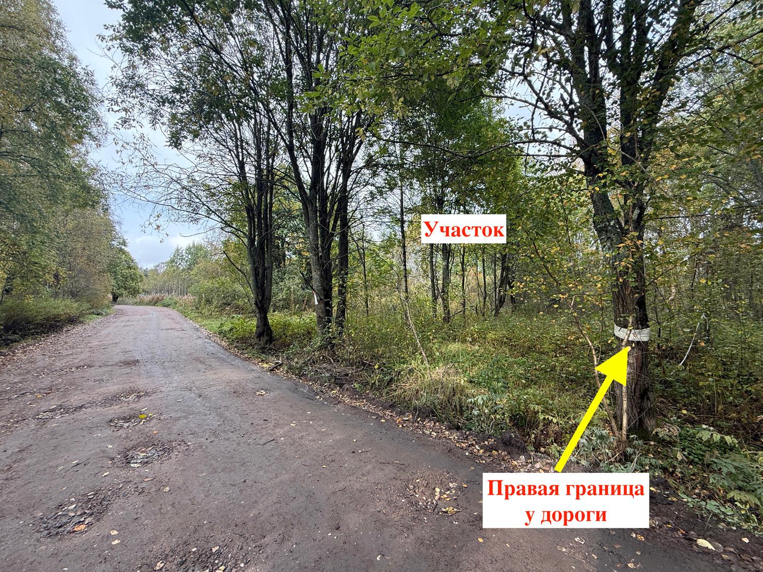 пос. Балтийское. Участок ИЖС 13,4 сотки на берегу Финского залива
