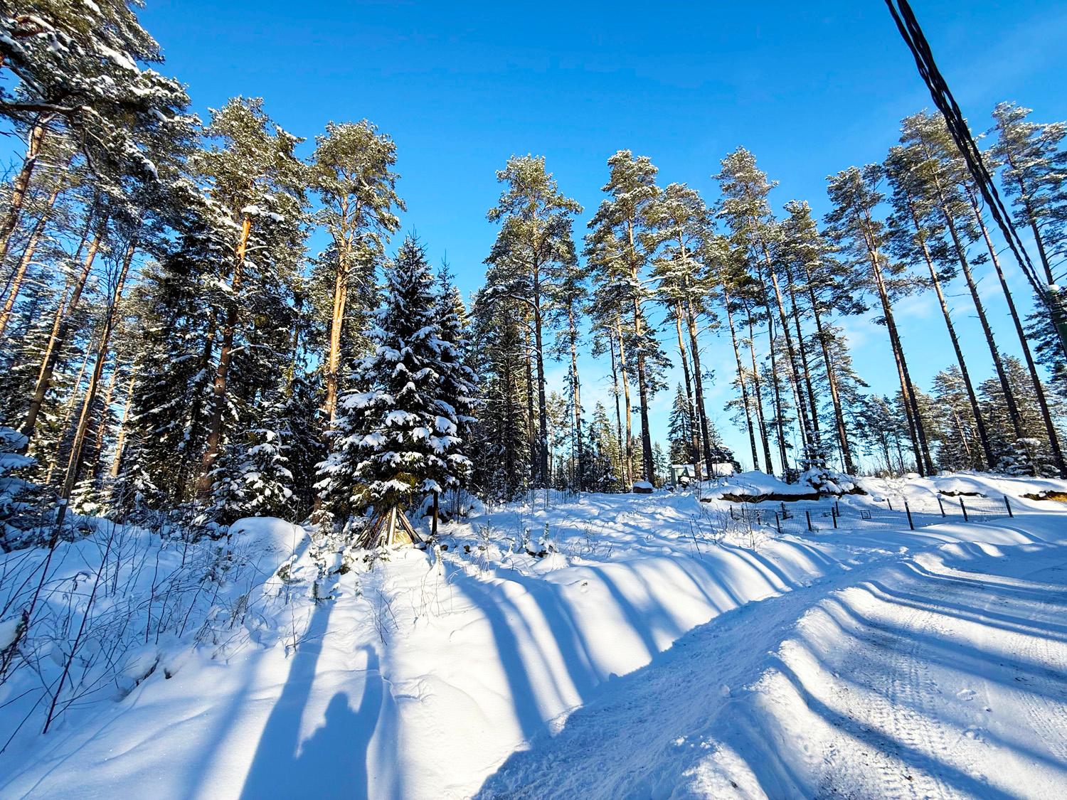 пос. Малышево. Участок 10 соток на берегу Пионерского оз.