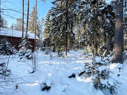 f50efc22-f42e-4703-a90d-1c5832ff8592