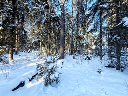 9b80fe9a-e489-4fe5-a95b-a4df36c43d9a