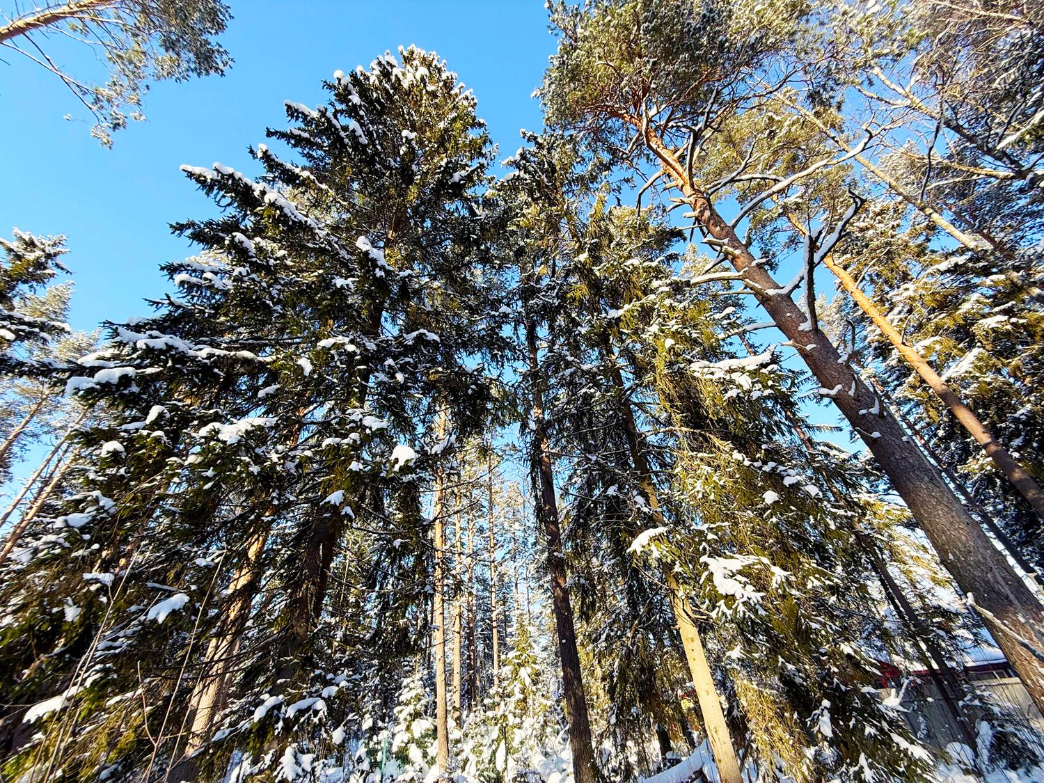 пос. Малышево. Участок 10 соток на берегу Пионерского оз.