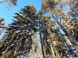 b507c49a-143c-47b1-83de-a1691729addc