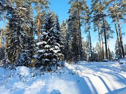 a0fbf6d1-d7ea-4781-8b26-8320aa250566