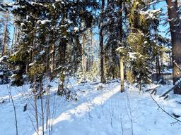 b3d5fb5c-371f-4a97-aac3-3160d7f82c60