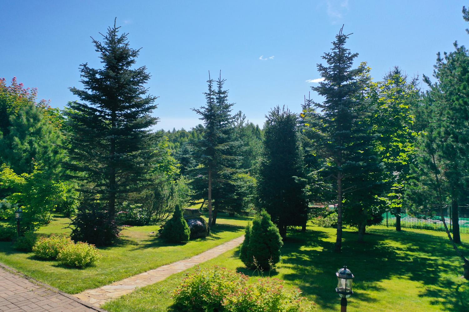 д. Васкелово. Усадьба 500 кв.м на берегу р. Грузинки